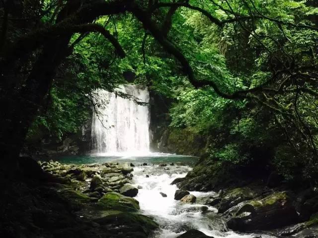 沪江开心词场